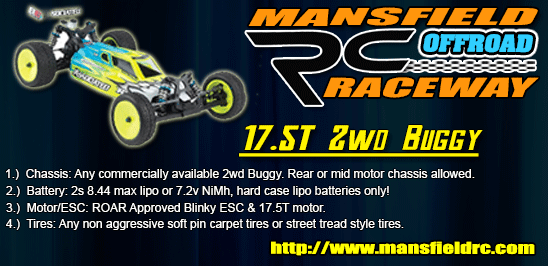 17.5 2WD BUGGY